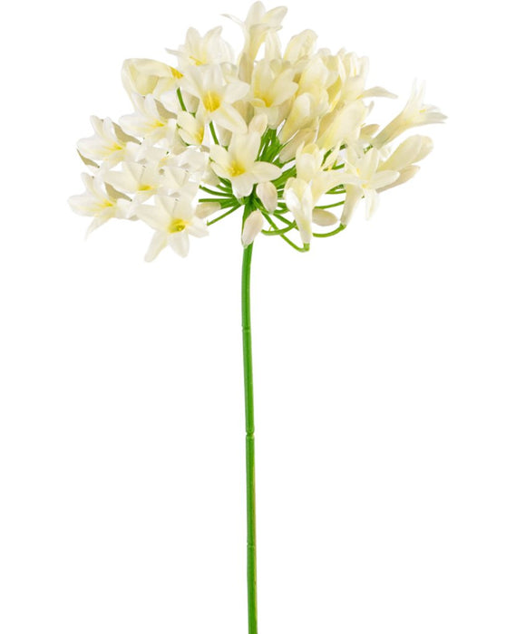 Hvid Kunstig Agapanthus