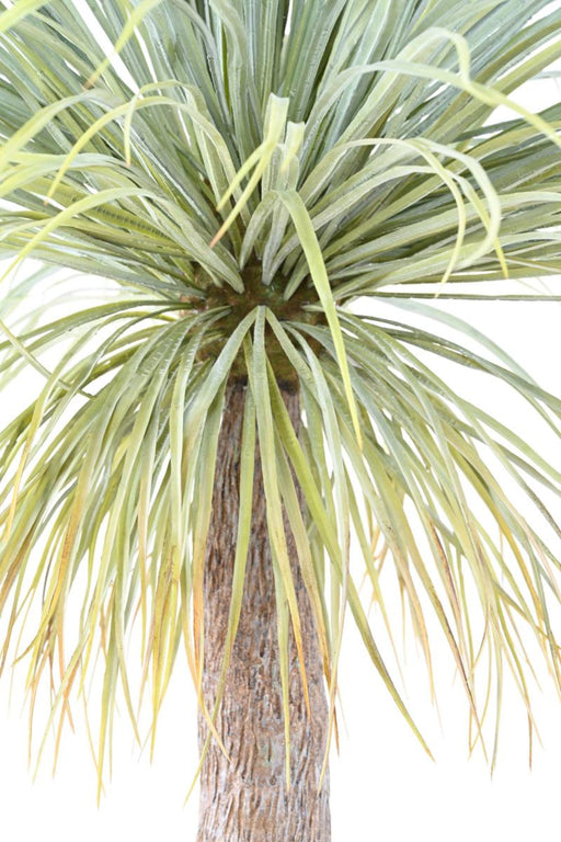 Kæmpe Kunstig Agave 240 Cm I Potte Interiør Dekoration