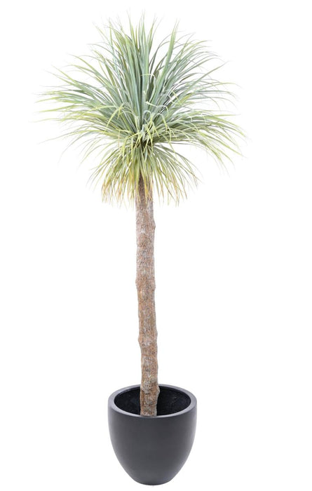 Kæmpe Kunstig Agave 240 Cm I Potte Interiør Dekoration