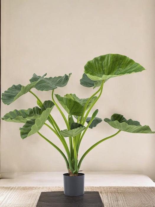 Alocasia Calioora - Kunstig Grøn Plante