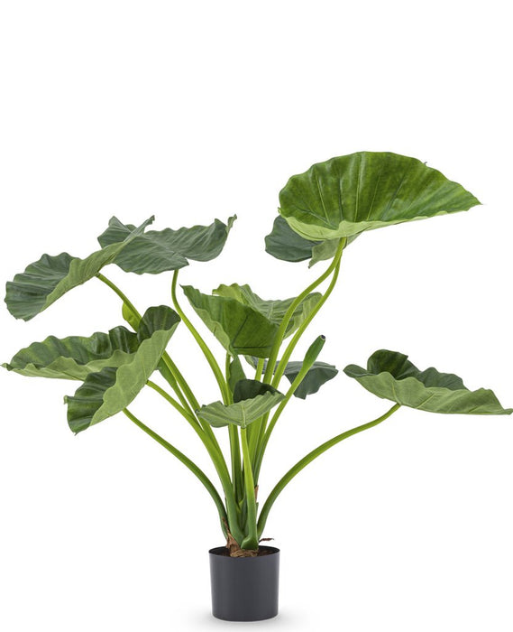 Alocasia Calioora - Kunstig Grøn Plante