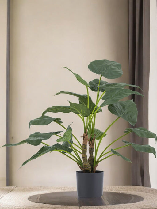 Alocasia Cucullata - Kunstig Grøn Plante