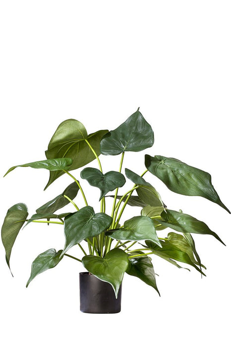 Alocasia - Kunstig Grøn Plante