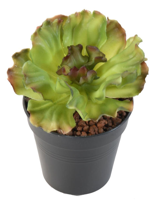 Kunstig Aloe Stake 16 Cm Indendørs Cactus Green