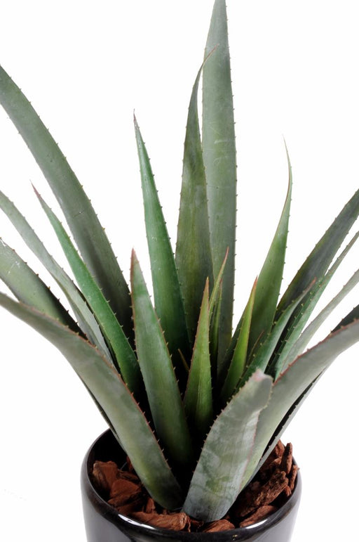 Kunstig Aloe Ferox I Pot Til Udendørs 65 Cm
