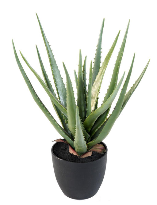 Kunstig Aloe Vera H.48Cm Til Indvendig Udsmykning