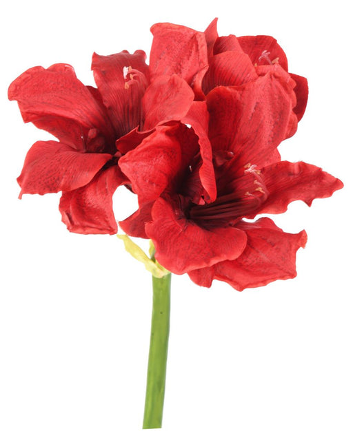Kunstig Amaryllis Rød 2 Blomster 1 Knop 66 Cm