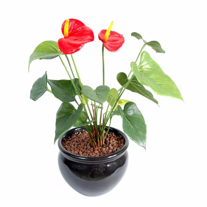 Kunstig Anthurium Rød 45 Cm Indendørs Plante