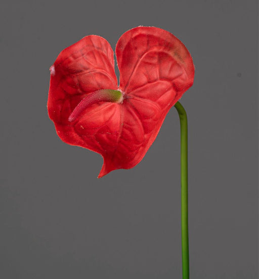 Kunstig Anthurium Rød Stilk 66 Cm Blomsterdekoration