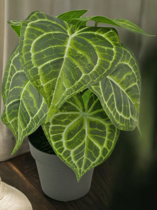 Anthurium - Kunstig Grøn Plante
