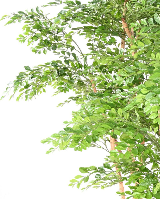 Kunstigt Akacietræ 5 Stammer Indendørs 150Cm