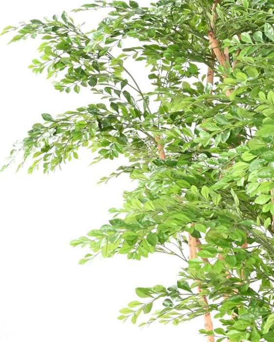 Kunstigt Akacietræ 5 Stammer Indendørs 150Cm