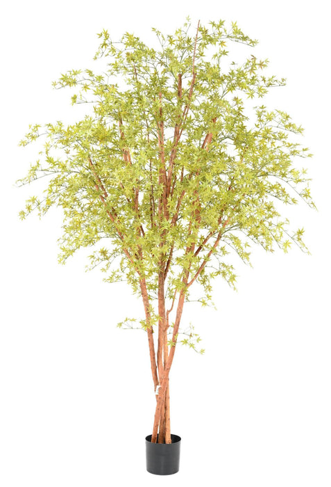 Aralia Kunstigt Træ 270 Cm Til Indendørs Og Udendørs