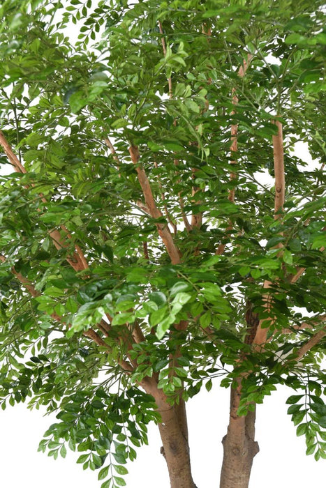 Bucida Kunstigt Træ 300 Cm Til Indretning