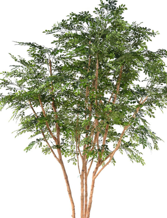 Bucida Kunstigt Træ 330 Cm Indvendig Dekoration