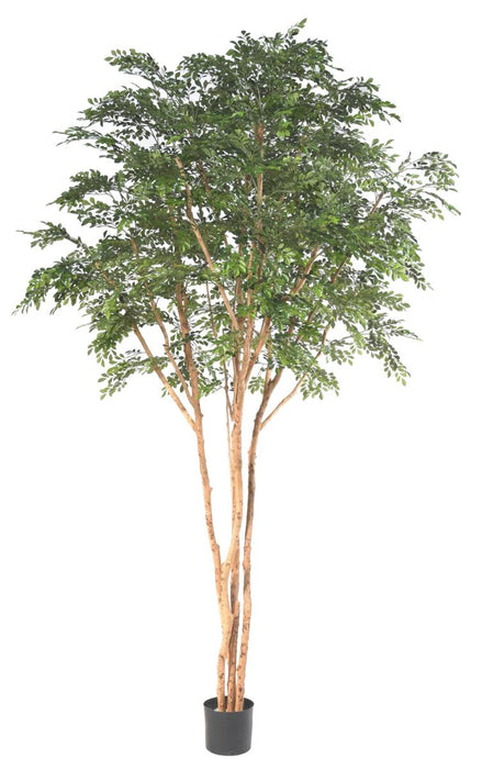 Bucida Kunstigt Træ 330 Cm Indvendig Dekoration