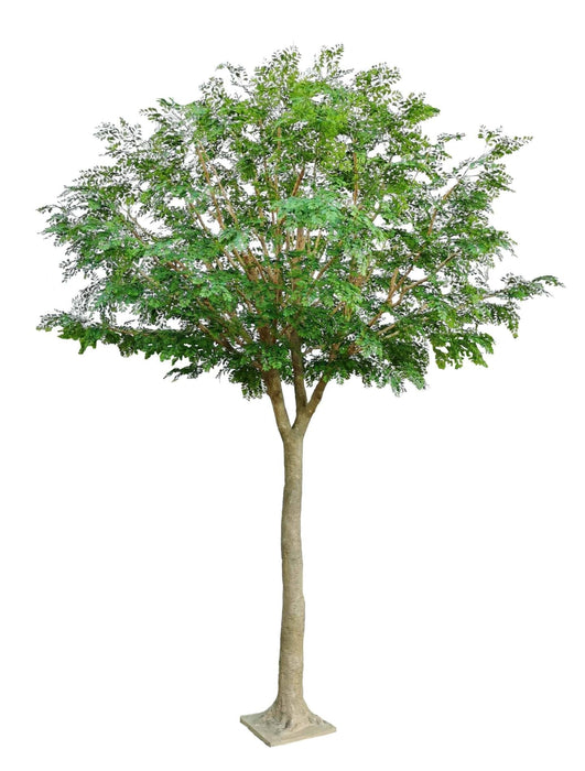 Kunstigt Træ Bucida 450Cm Til Indretning