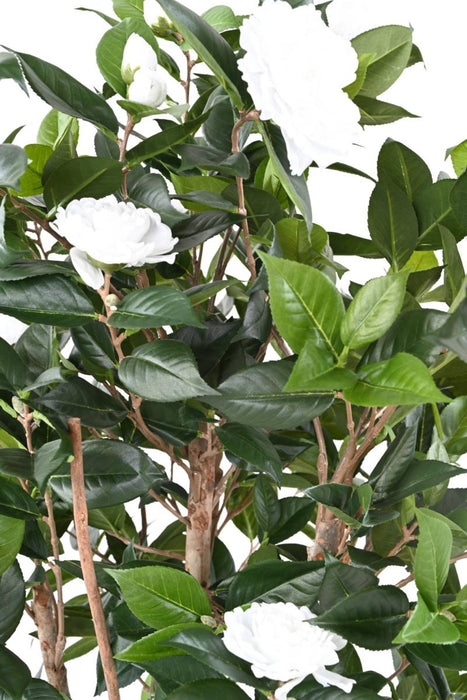 Kunstig Camellia Japonica Træ 12 Blomster 160Cm