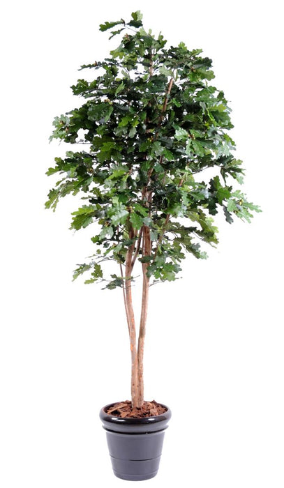 Kunstigt Egetræ 230 Cm Til Indretning