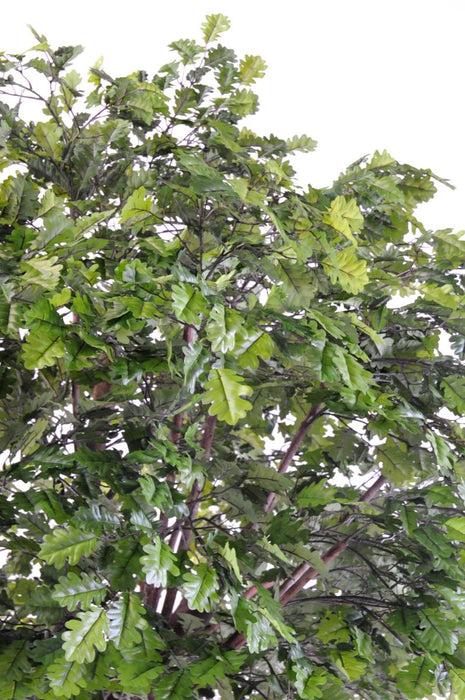 Kunstigt Egetræ Indendørs 300 Cm