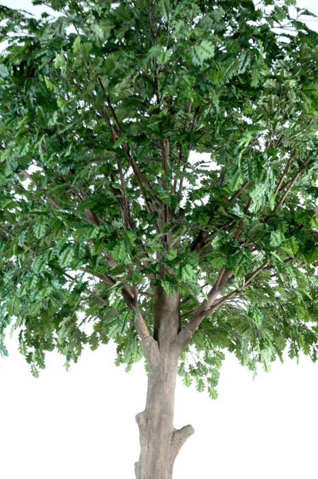 Kunstigt Egetræ Indendørs 300 Cm