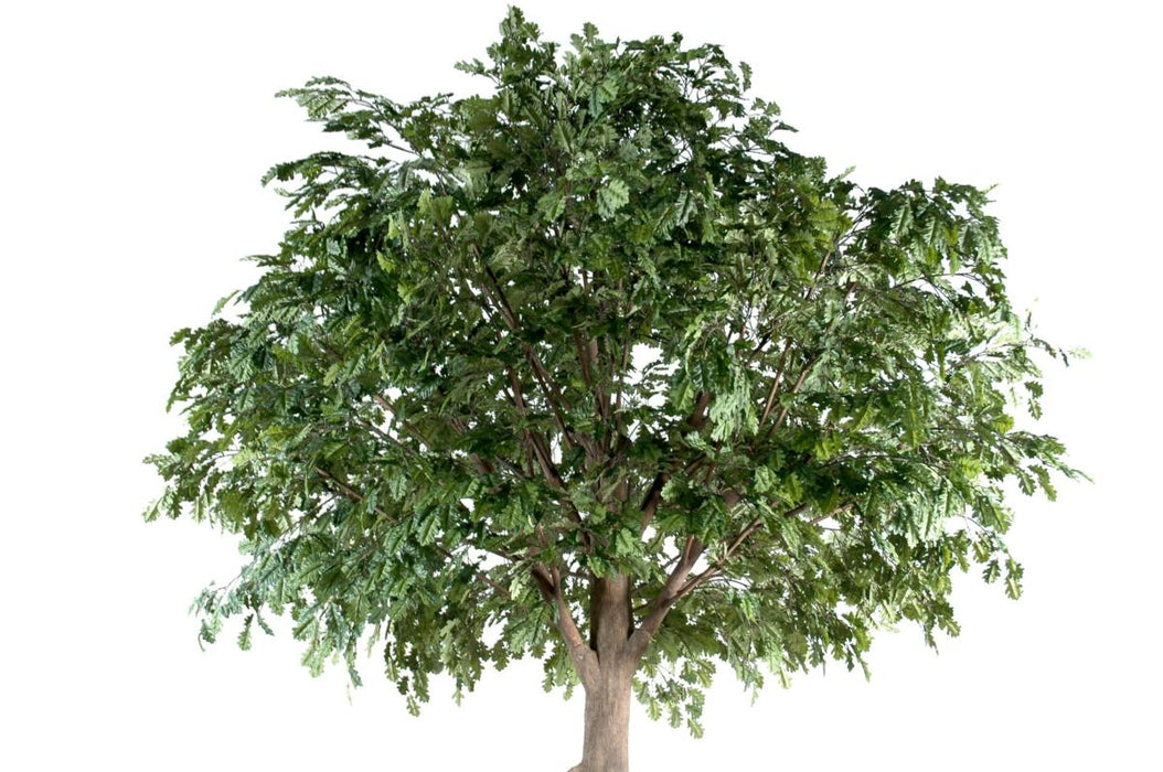 Kunstigt Egetræ Indendørs 300 Cm