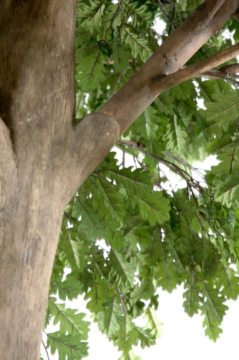 Kunstigt Egetræ Indendørs 400 Cm