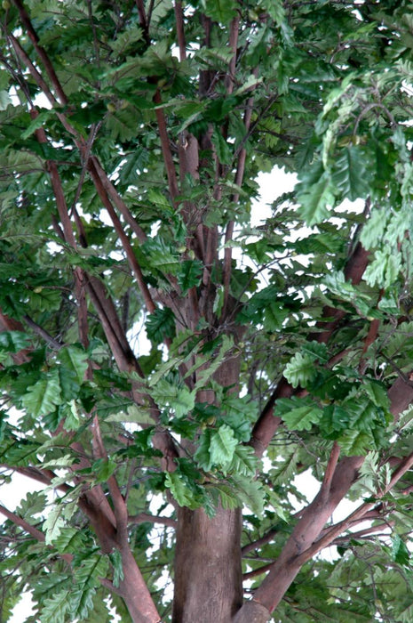 Kunstigt Egetræ Indendørs 400 Cm