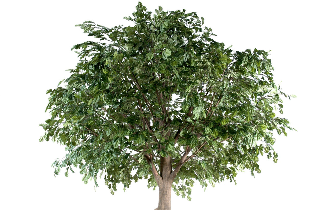 Kunstigt Egetræ Indendørs 400 Cm