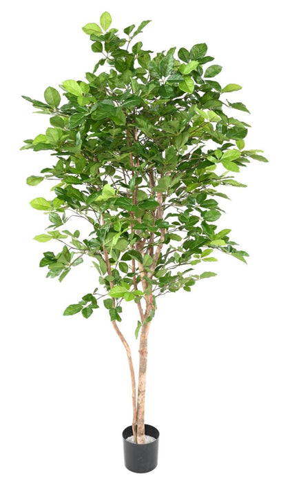 Kunstigt Bøgetræ Grandifolia 190 Cm Dekoration