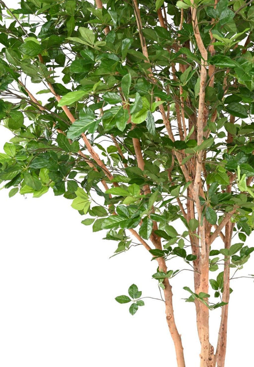 Kunstigt Bøgetræ Grandifolia 350Cm Indvendig Dekoration