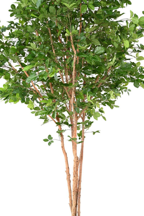 Kunstigt Bøgetræ Grandifolia 350Cm Indvendig Dekoration