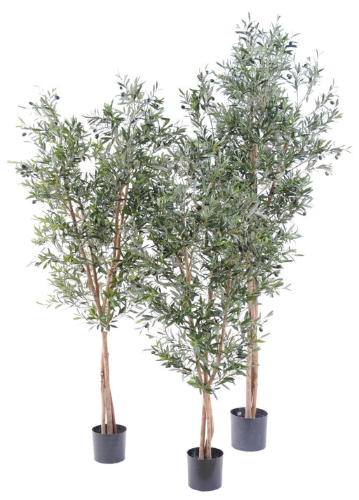 Kunstigt Oliventræ 3 Stammer H.210Cm Indvendig Dekoration