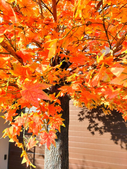 Kunstigt Appelsintræ Aralia Ahorn 300 Cm