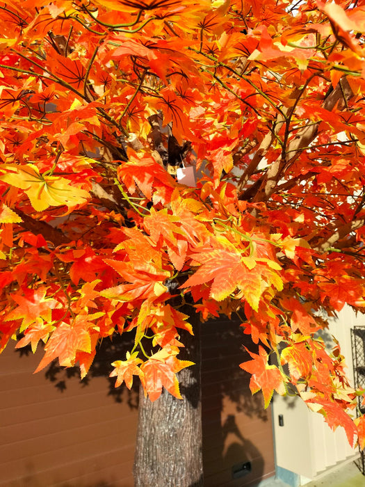 Kunstigt Appelsintræ Aralia Ahorn 300 Cm