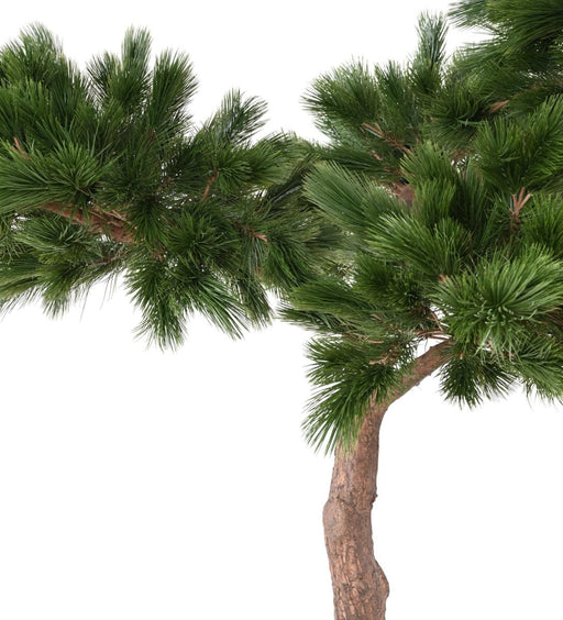 Artificial Pine Paraply Tree Indendørs H.240Cm