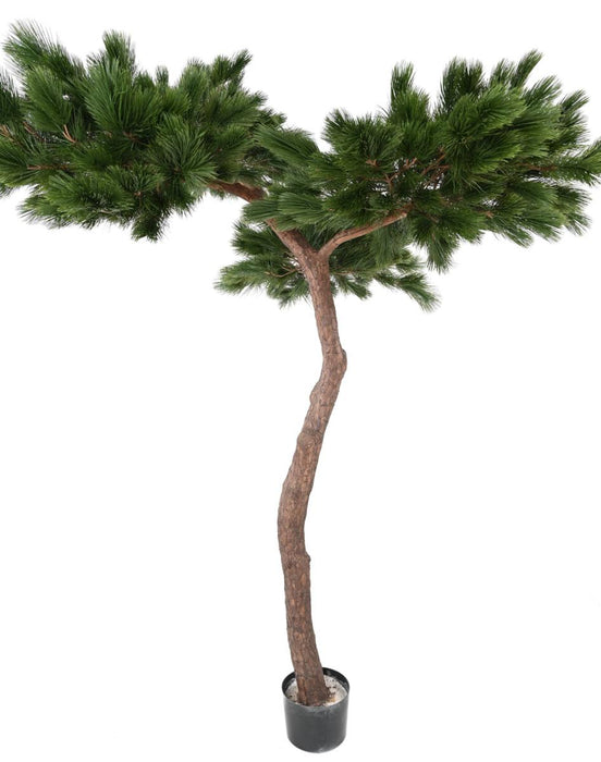 Artificial Pine Paraply Tree Indendørs H.240Cm