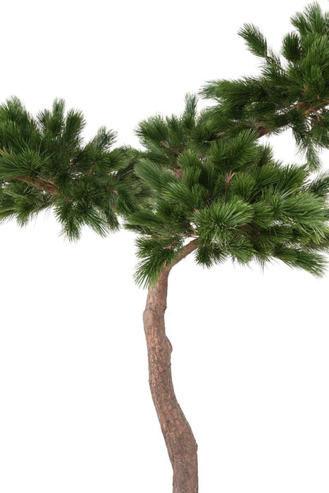 Artificial Pine Paraply Tree Indendørs H.240Cm