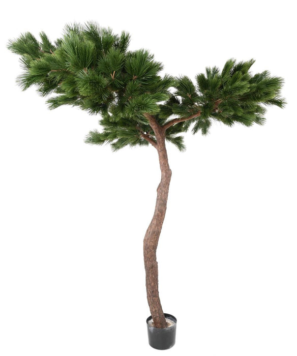 Artificial Pine Paraply Tree Indendørs H.240Cm