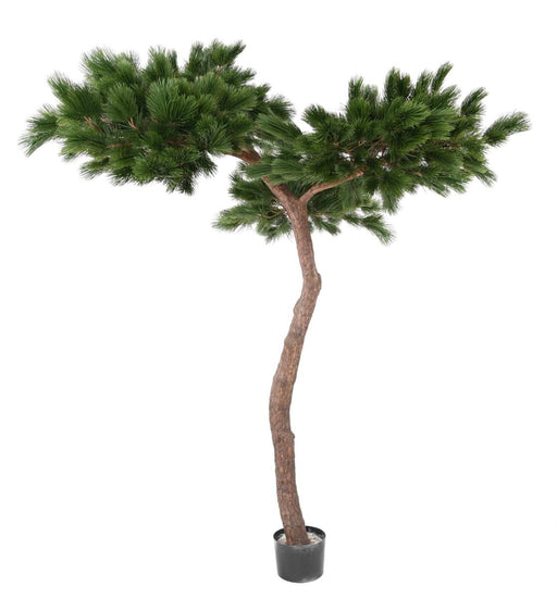 Artificial Pine Paraply Tree Indendørs H.240Cm