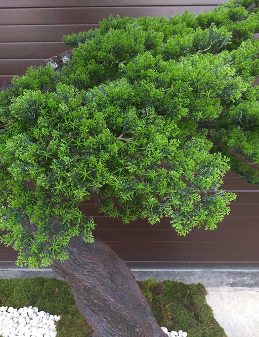 Kunstigt Bonsaitræ 300 Cm Til Indretning