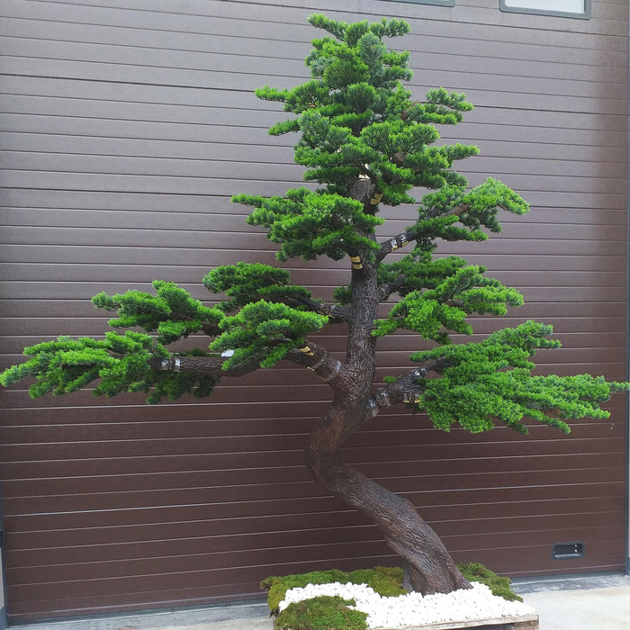 Kunstigt Bonsaitræ 300 Cm Til Indretning