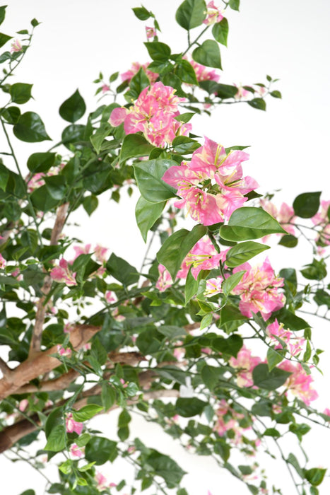 Kunstig Bougainvillea Træ 280 Cm Indendørs Pink