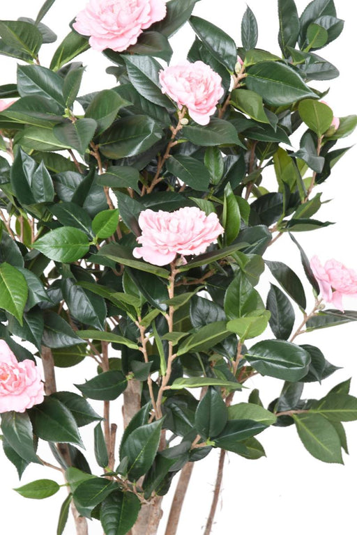 Kunstigt Kameliatræ 130 Cm Lyserøde Blomster Indendørs