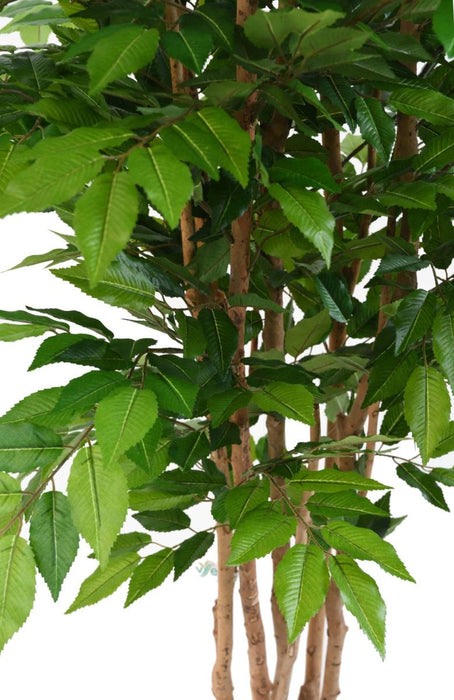 Kunstigt Avnbøg Træ 5 Stammer 150 Cm Indendørs Plante