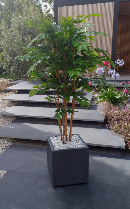 Kunstigt Avnbøg Træ 5 Stammer 150 Cm Indendørs Plante