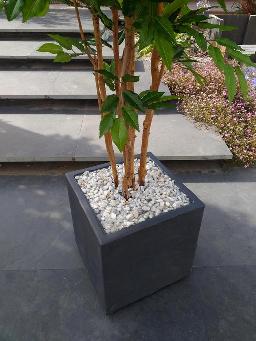 Kunstigt Avnbøg Træ 5 Stammer 150 Cm Indendørs Plante