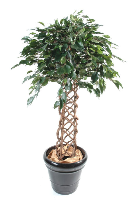 Kunstigt Ficus Træ 140 Cm Indendørs Plante