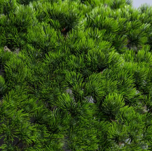 Anti-UV Kunstigt Japansk Træ H.155 Cm