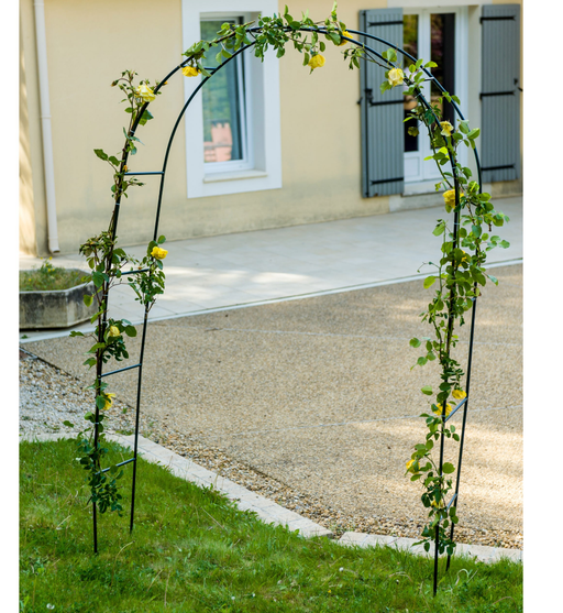 Havebue Klatring I Rosenbue